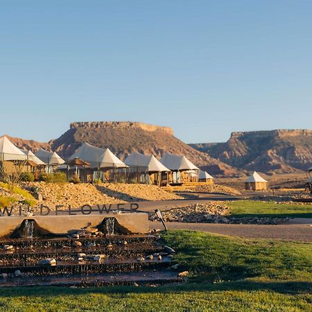 Zion Wildflower Resort فيرجين المظهر الخارجي الصورة